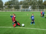 S.K.N.W.K. JO8-1 - Bevelanders JO8-1 (beker) 2024-2025 (1e fase) (77/83)